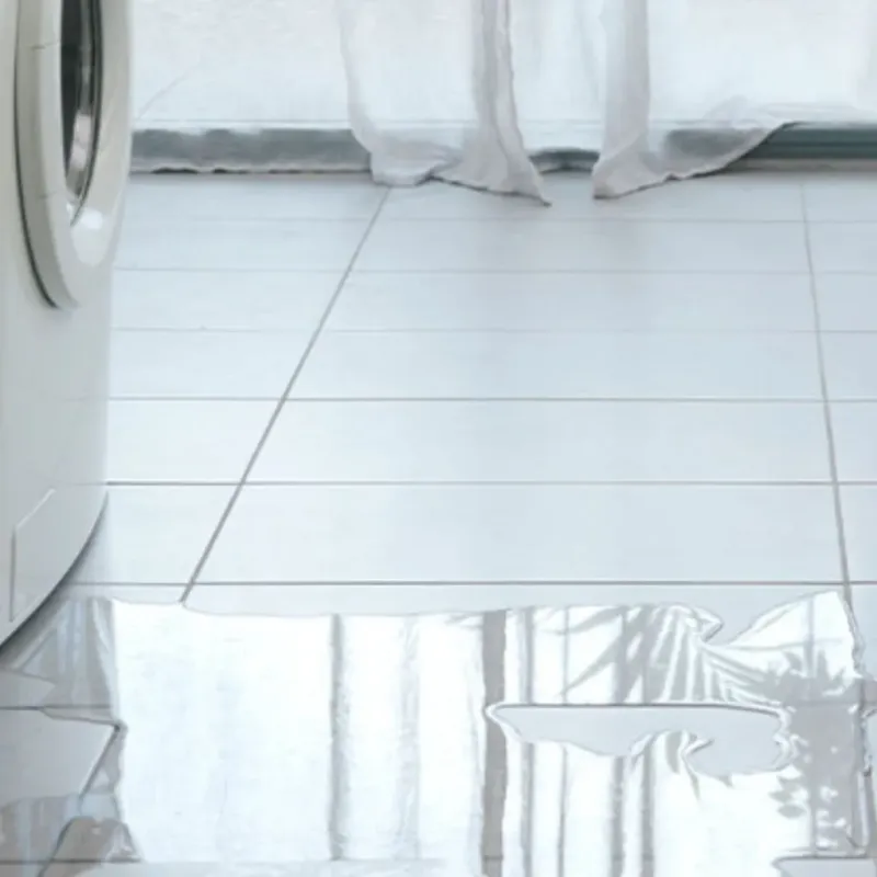 Appliance Leak Cleanup in Exmore, VA