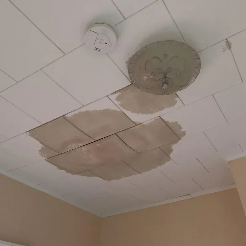 Ceiling Water Damage Repair in Exmore, VA