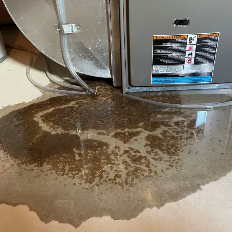 Pipe Burst and Leak Restoration in Exmore, VA