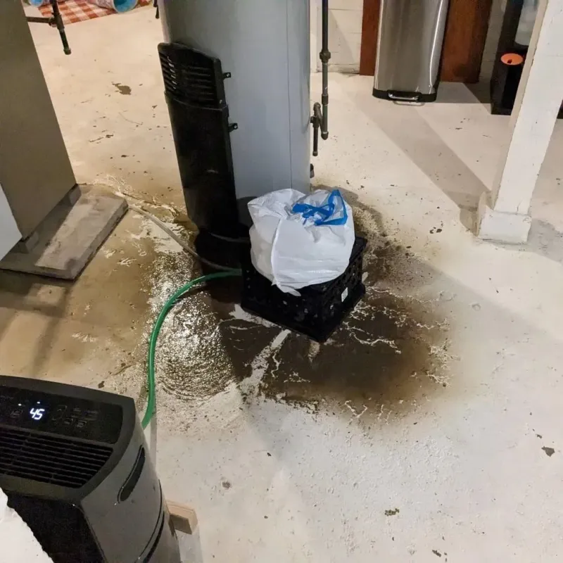 Sewage Backup Cleanup Service in Exmore, VA